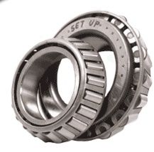 Bearing Set